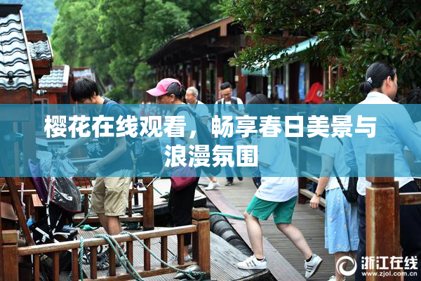 樱花在线观看，畅享春日美景与浪漫氛围