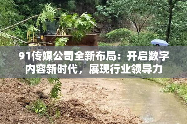 91传媒公司全新布局：开启数字内容新时代，展现行业领导力