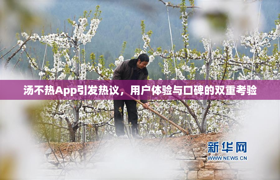 汤不热App引发热议，用户体验与口碑的双重考验