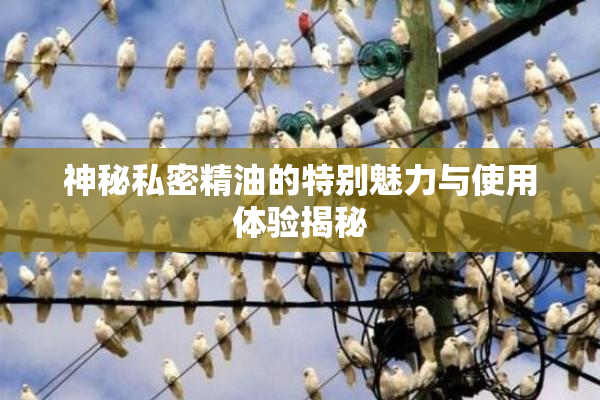 神秘私密精油的特别魅力与使用体验揭秘