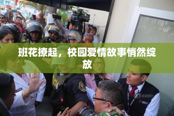 班花撩起，校园爱情故事悄然绽放