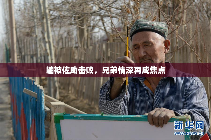 鼬被佐助击败，兄弟情深再成焦点