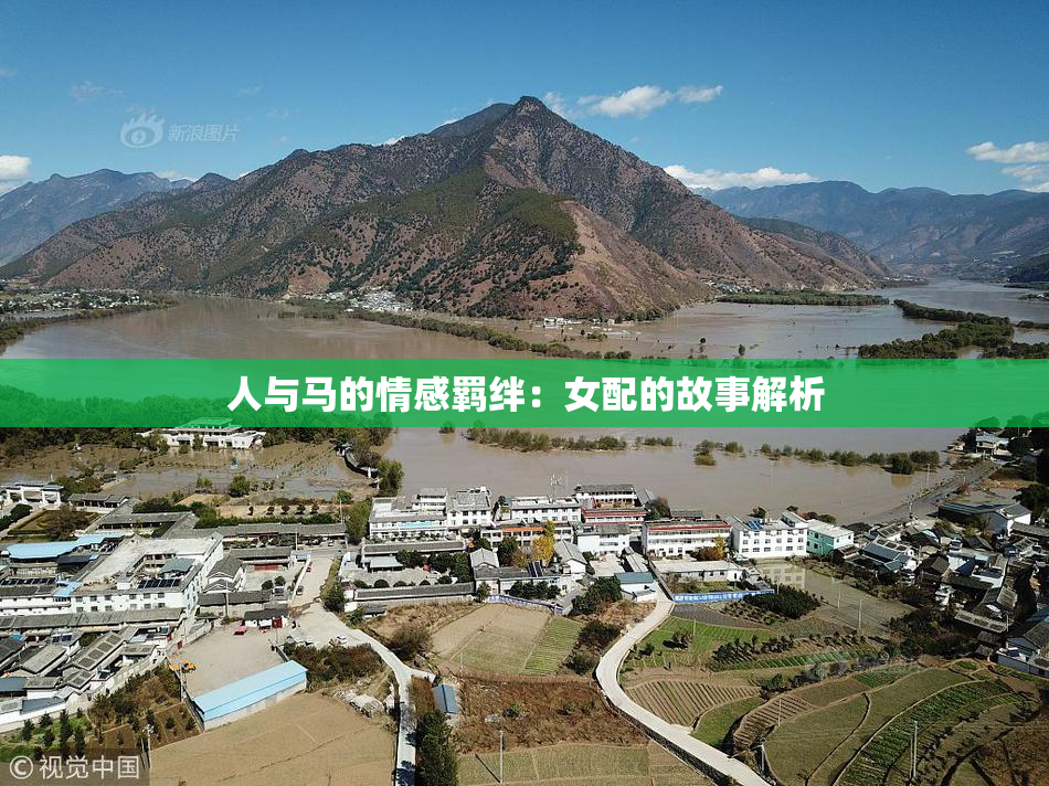 人与马的情感羁绊：女配的故事解析