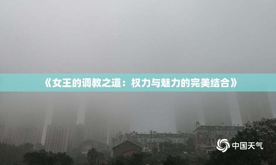 《女王的调教之道：权力与魅力的完美结合》