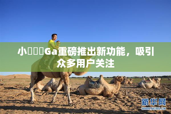 小藍視頻Ga重磅推出新功能，吸引众多用户关注