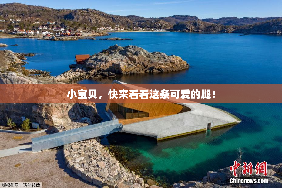 小宝贝，快来看看这条可爱的腿！
