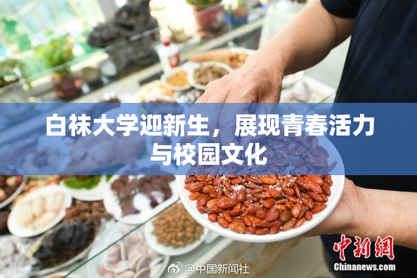 白袜大学迎新生，展现青春活力与校园文化