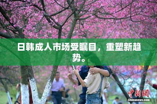 日韩成人市场受瞩目，重塑新趋势。