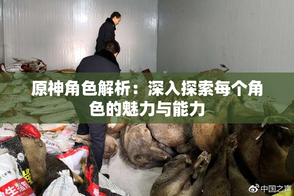 原神角色解析：深入探索每个角色的魅力与能力