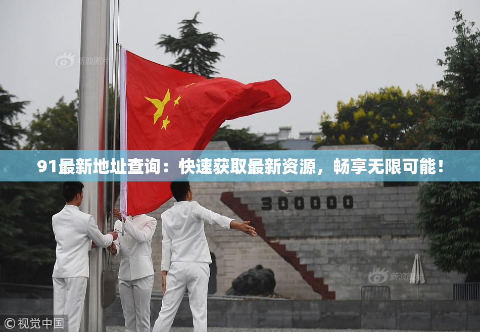 91最新地址查询：快速获取最新资源，畅享无限可能！
