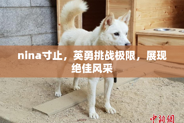 nina寸止，英勇挑战极限，展现绝佳风采