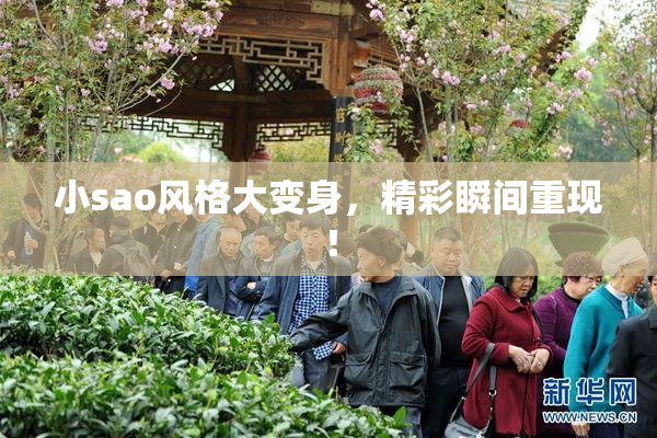 小sao风格大变身，精彩瞬间重现！