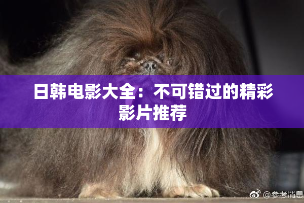 日韩电影大全：不可错过的精彩影片推荐