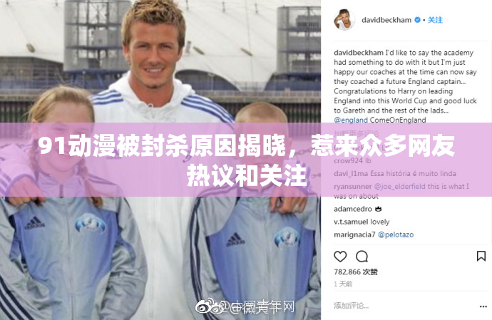 91动漫被封杀原因揭晓，惹来众多网友热议和关注