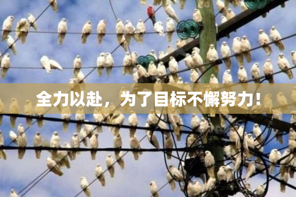 全力以赴，为了目标不懈努力！