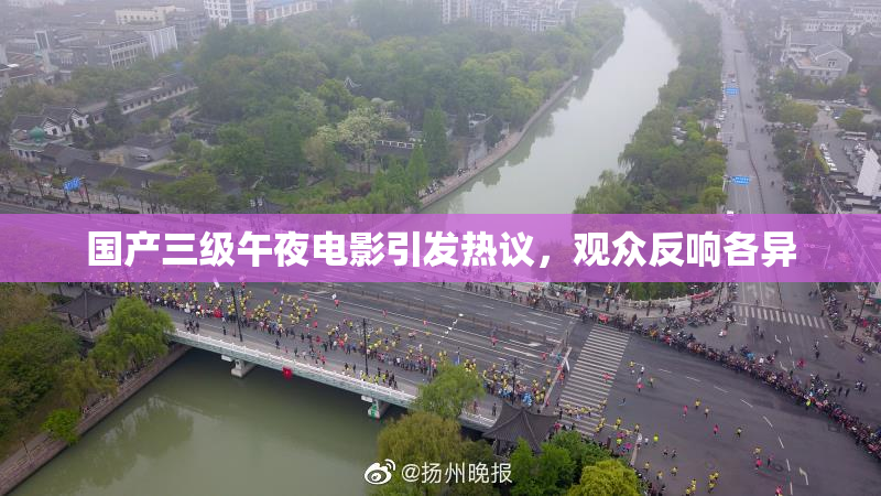 国产三级午夜电影引发热议，观众反响各异