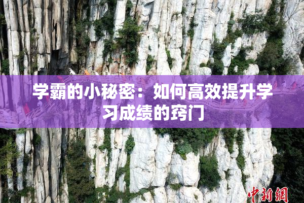 学霸的小秘密：如何高效提升学习成绩的窍门