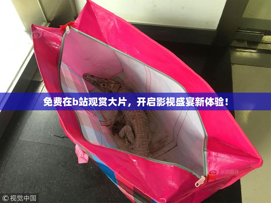 免费在b站观赏大片，开启影视盛宴新体验！