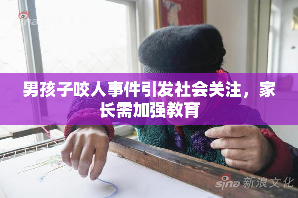 男孩子咬人事件引发社会关注，家长需加强教育