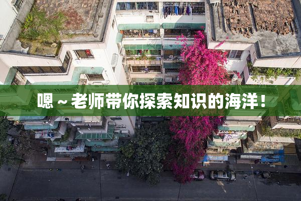 嗯～老师带你探索知识的海洋！