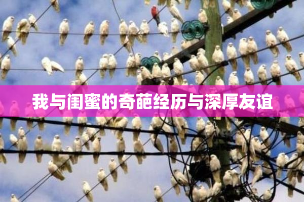 我与闺蜜的奇葩经历与深厚友谊
