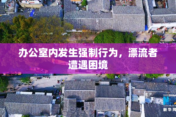办公室内发生强制行为，漂流者遭遇困境