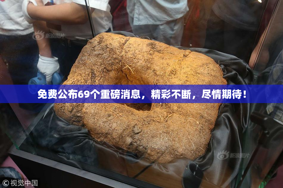免费公布69个重磅消息，精彩不断，尽情期待！