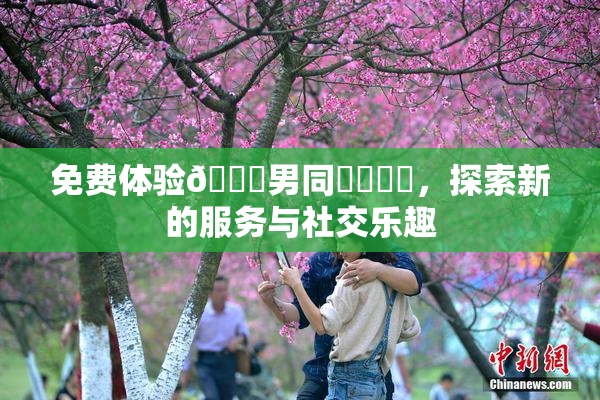 免费体验🔞男同❌‌❌‌，探索新的服务与社交乐趣