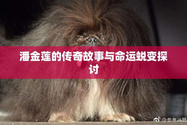 潘金莲的传奇故事与命运蜕变探讨