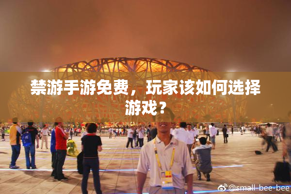 禁游手游免费，玩家该如何选择游戏？