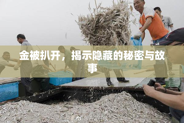 金被扒开，揭示隐藏的秘密与故事