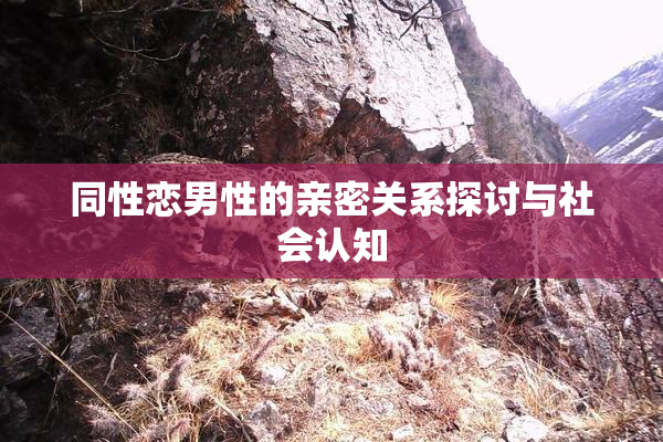 同性恋男性的亲密关系探讨与社会认知