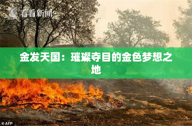 金发天国：璀璨夺目的金色梦想之地