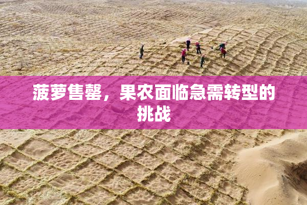 菠萝售罄，果农面临急需转型的挑战