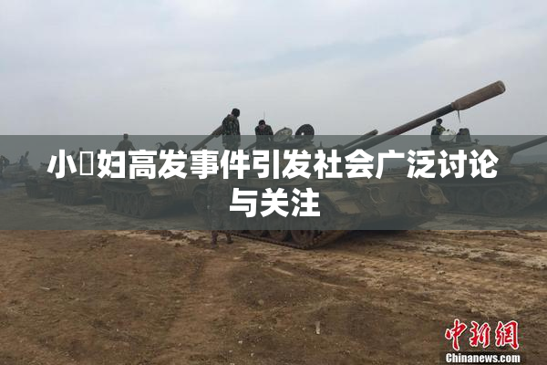 小婬妇高发事件引发社会广泛讨论与关注