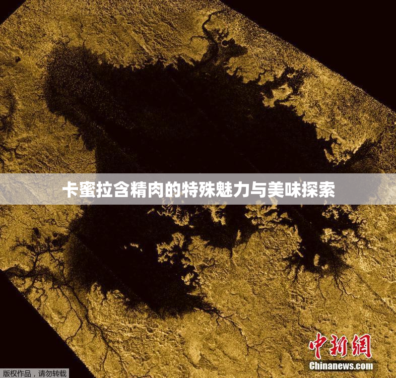 卡蜜拉含精肉的特殊魅力与美味探索