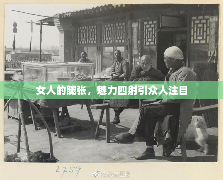 女人的腿张，魅力四射引众人注目