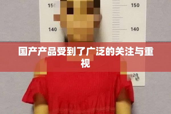 国产产品受到了广泛的关注与重视