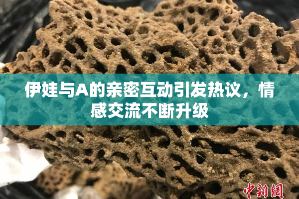 伊娃与A的亲密互动引发热议，情感交流不断升级