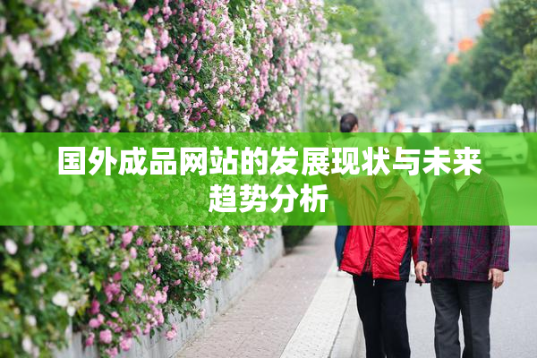 国外成品网站的发展现状与未来趋势分析