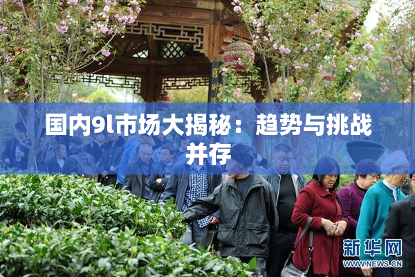 国内9l市场大揭秘：趋势与挑战并存
