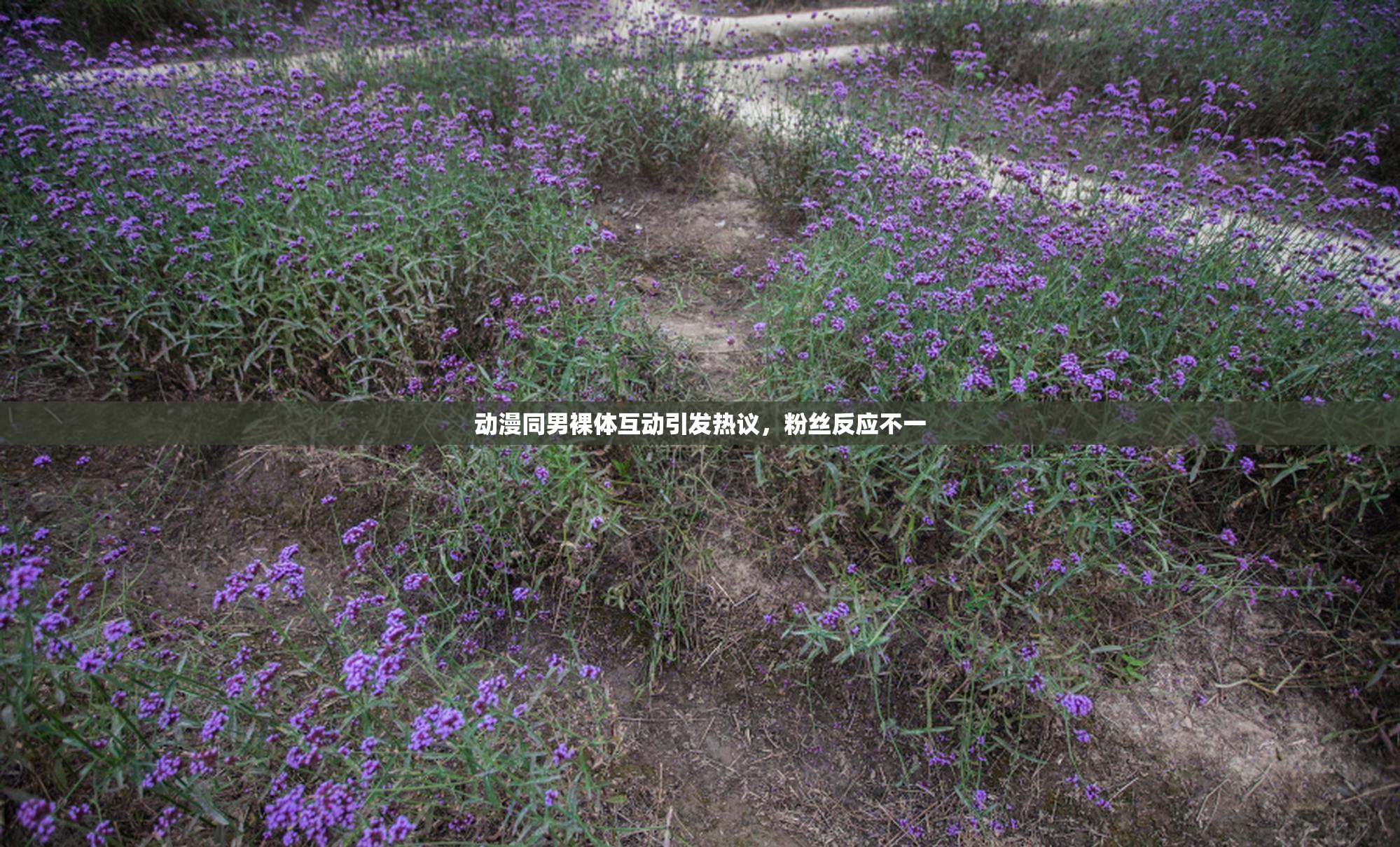 动漫同男裸体互动引发热议，粉丝反应不一