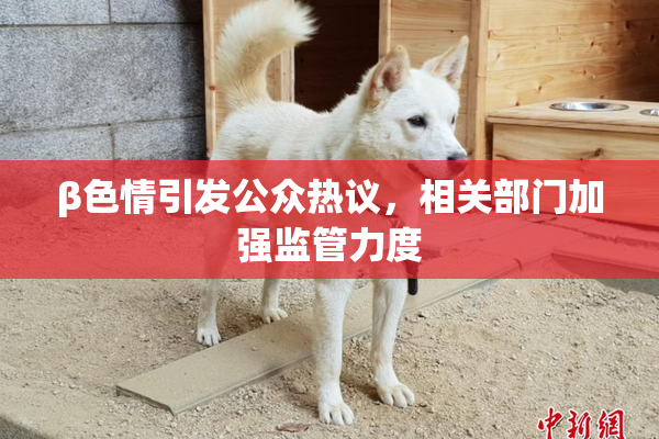β色情引发公众热议，相关部门加强监管力度