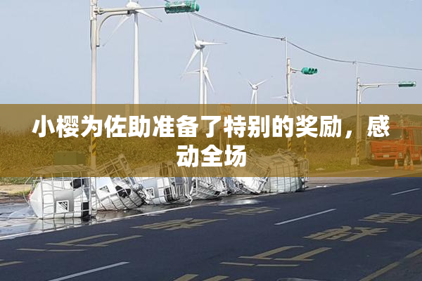 小樱为佐助准备了特别的奖励，感动全场