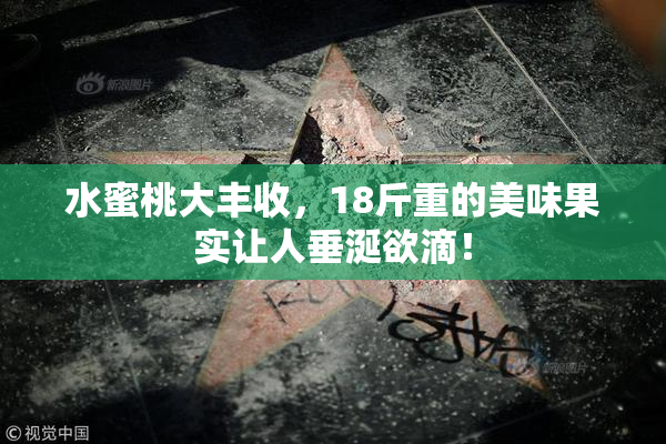 水蜜桃大丰收，18斤重的美味果实让人垂涎欲滴！