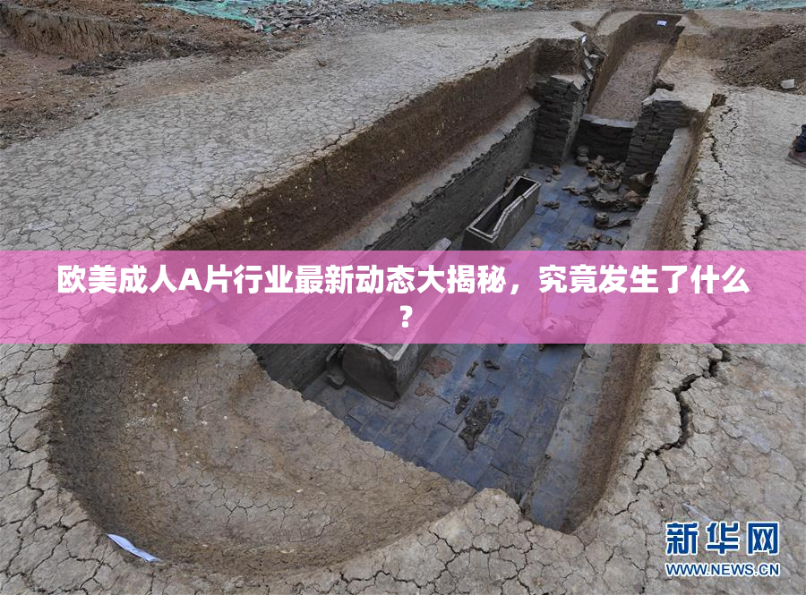 欧美成人A片行业最新动态大揭秘，究竟发生了什么？