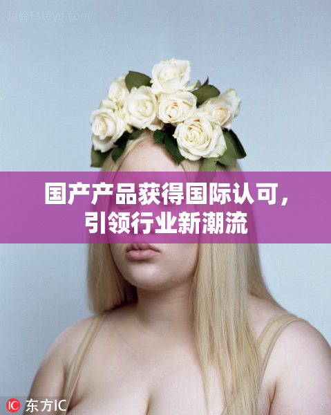 国产产品获得国际认可，引领行业新潮流
