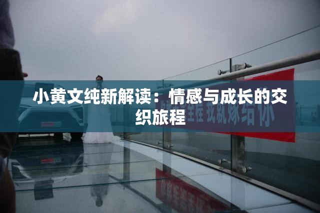 小黄文纯新解读：情感与成长的交织旅程