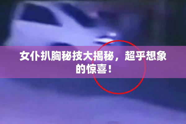 女仆扒胸秘技大揭秘，超乎想象的惊喜！