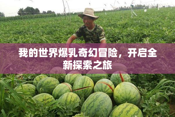 我的世界爆乳奇幻冒险，开启全新探索之旅